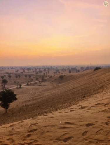 Sunset over Raisar dunes in Bikaner, casting a warm twilight glow.