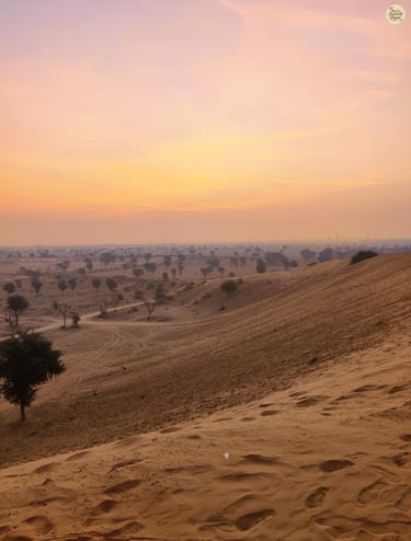 Sunset whispers over Raisar dunes - Bikaner's charming twilight tunes.