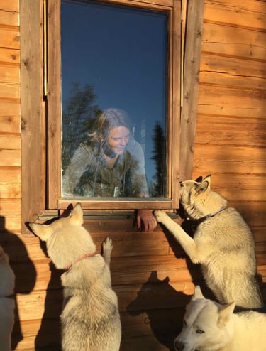 éducateur canin expériementé avec des chiens
