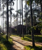 karnataka-fs-holidays