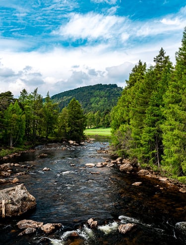 Rivière bordée de forêts verdoyantes dans les Highlands écossais, avec des montagnes en arrière-plan sous un ciel bleu.
