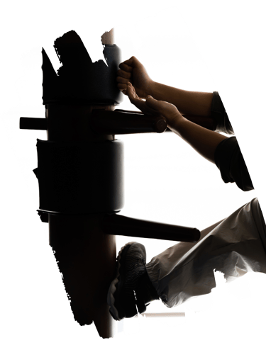 Винг Чун (Wing Chun)
