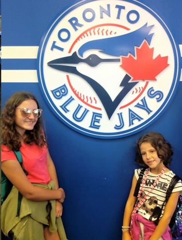 Toronto simbolo blue jays
