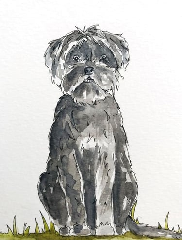 Dog