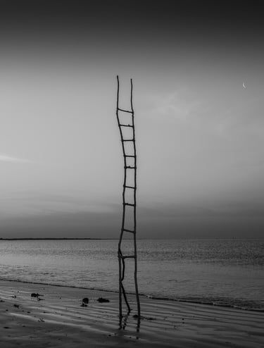 Photo échelle sur un rivage