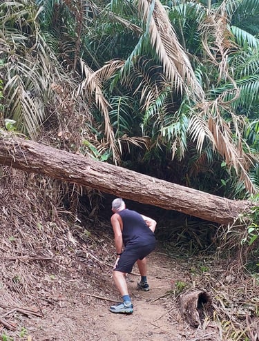 thailand khao lak lam ru hat lek nature trail