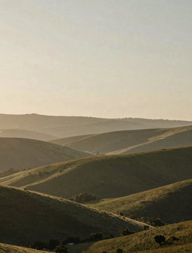 An atmospheric landscape shot of rolling hills under a hazy evening sky. The image has a vintage, grainy texture that evokes nostalgia. Colors blend from #6F604F into #C4B29A, with a soft, ethereal light that makes the viewer feel truly in the moment.