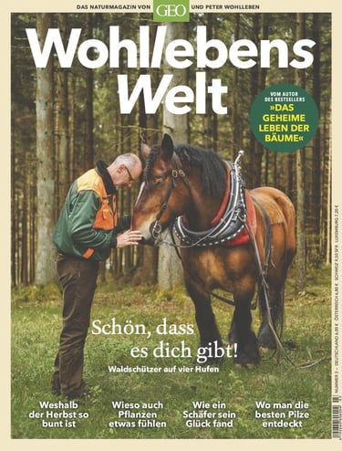 Wohllebens Welt 3/2019 cover