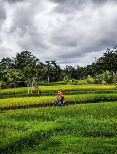 Bali dirt bike tours