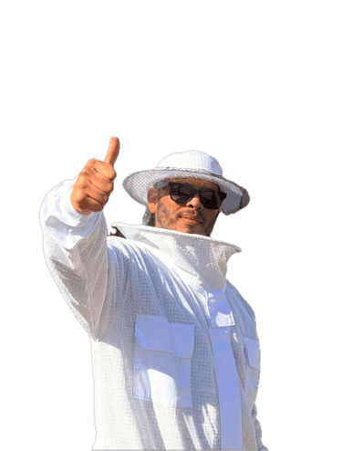 Professional bee service in Menifee, CA Footprint Pest Management