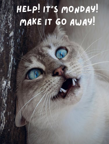 A cross-eyed cat leaning against a tree, exhausted and complaining that it is Monday. 
