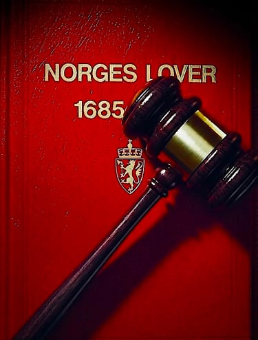 Salah Hassan Al Saadi, Qatranada Adnan Abdulhussein , Hege Finsveen, Fredrikstad kommunestyre