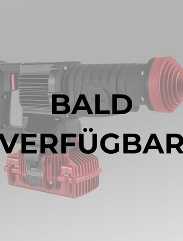 SDS Schlagbohrer Nemo