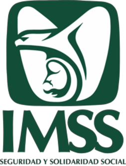 IMSS Inmediato