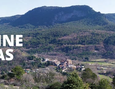 Our village today
