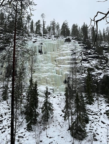 Frozen Lapland Landscape