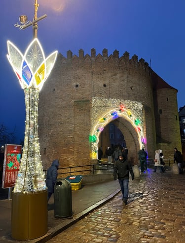 Warsaw city walls