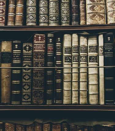 Bookshelf at the Museum of the Enlightenment