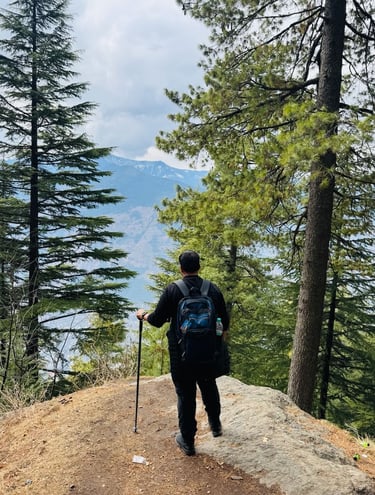 Somewhere On Hike - 1