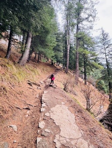 Somewhere On Hike - 2
