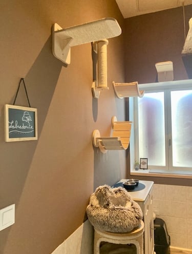 chambre pension féline
