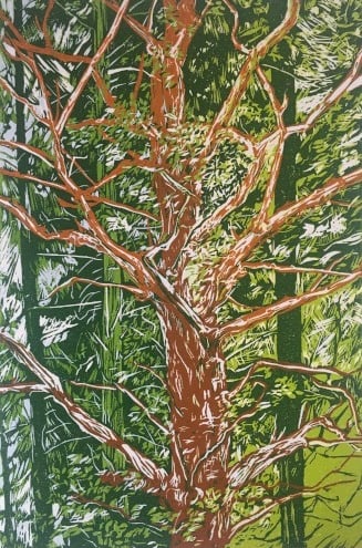 Linocut: Caged tree
