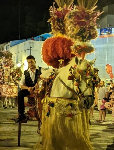 a man in a costume with a horse drawn on a horse