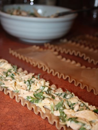 lasagna noodles with chicken cheese mixture