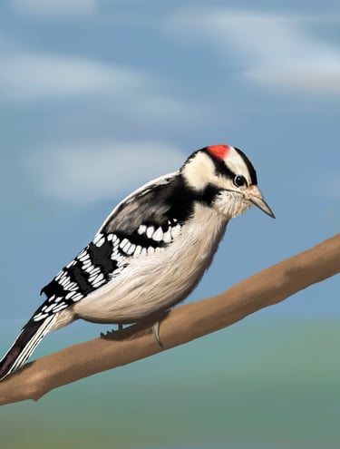 Downy Woodpecker perched on a branch 