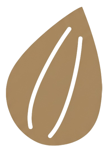 Brown seed SEED Early Childhood Logo