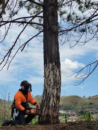 HOMEM CORTANDO ÁRVORE COM MOTOSSERRA