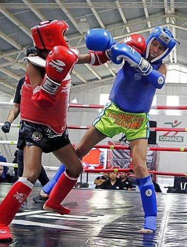 Noticias y actualidad de artes marciales