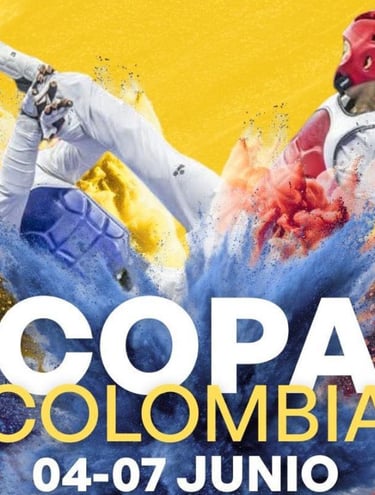 Noticias y actualidad de artes marciales