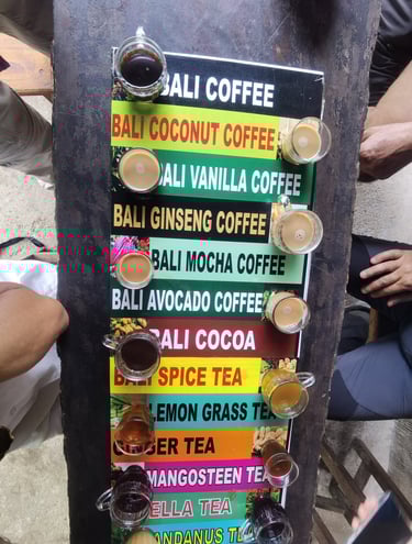 dégustion de thé et café kopi luwak Ubud Bali