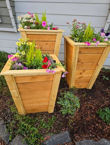 3 Planter boxes filled with floral