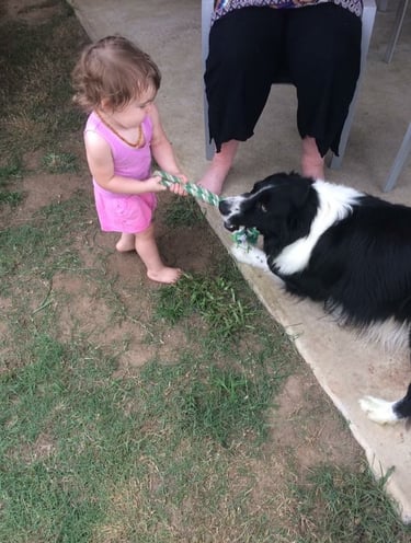 Children Playing with Dog 