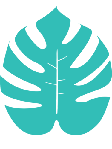 Monstera leaf