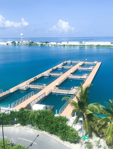 floating deck, pontoon, marina equipment, decking