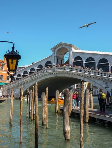 venezia ponte rialto
