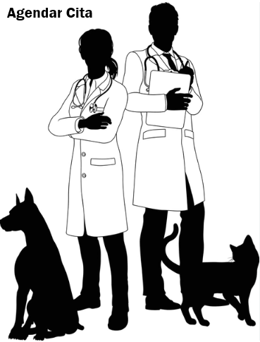 Agendar Cita