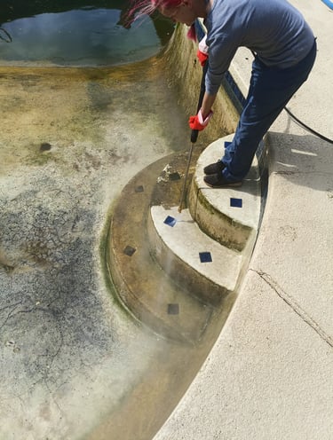 Beginning Clean The Pool