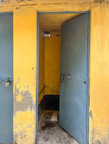 Small yellow toilet in block  with blue door ajar.