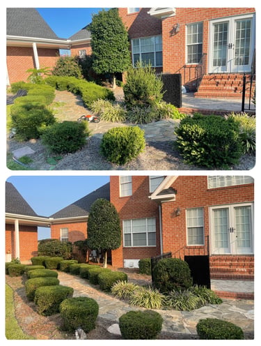 Wilson NC Lawn Care Services | Rubio's Lawn Care & Landscaping