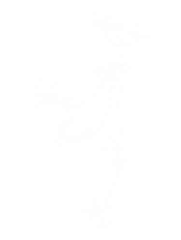 MTC