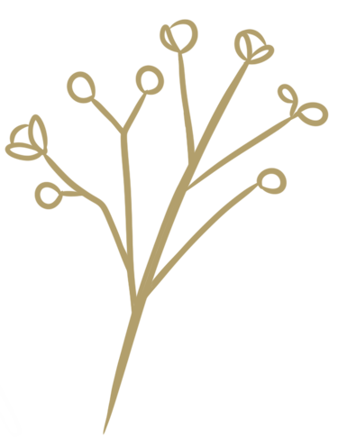 dessin d'une branche