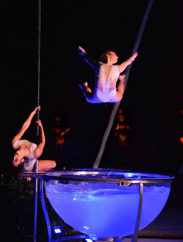 spettacolo di waterbowl acrobatica milano