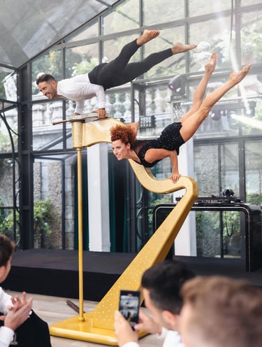 Acrobatica su Arpa con Swarovski  - show elegante per intrattenimento musicale e acrobatico.
