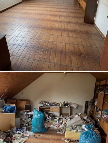 messie-reinigung-darmstadt-vorher-nachher.jpg