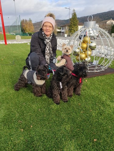 Eleveur de Schnauzers en promenade