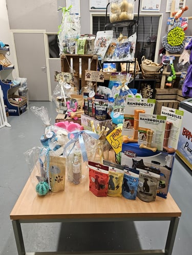 Fysieke winkel Coya